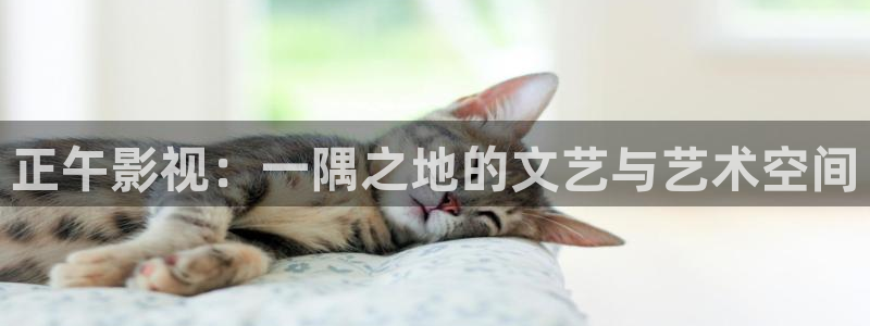 螞蟻影院黑螞蟻影院：正午影視：一隅之地的文藝與藝術空間