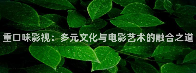 電視劇 黑螞蟻：重口味影視：多元文化與電影藝術的融合之道
