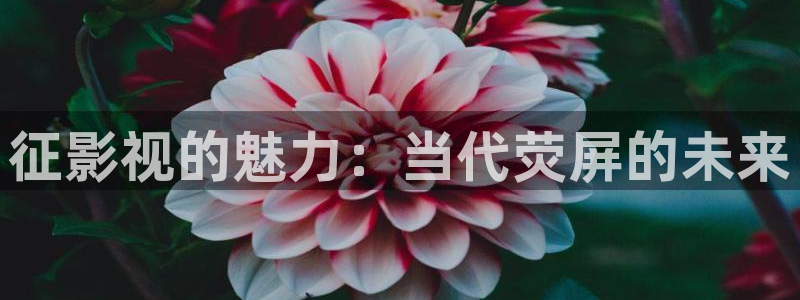 黑螞蟻影業有限公司